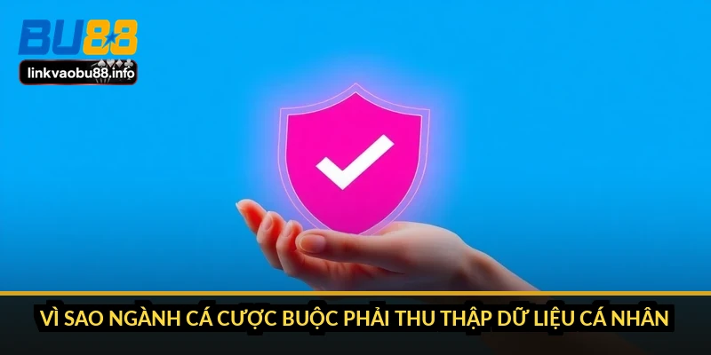 Chính sách bảo mật BU88: dữ liệu của bạn đi về đâu 1 Vì sao ngành cá cược buộc phải thu thập dữ liệu cá nhân