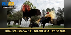 Khâu cân gà và điều người xem hay bỏ qua