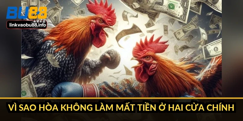 Luật chơi đá gà Thomo: quy trình trận và cách xử lý kèo 3 Vì sao hòa không làm mất tiền ở hai cửa chính