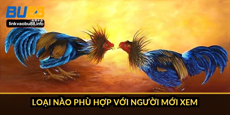 Phân biệt đá gà cựa sắt và cựa dao: 6 điểm khác nhau cốt lõi 4 Loại nào phù hợp với người mới xem