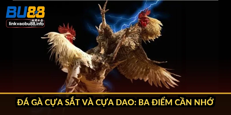 Phân biệt đá gà cựa sắt và cựa dao: 6 điểm khác nhau cốt lõi 5 Đá gà cựa sắt và cựa dao: ba điểm cần nhớ