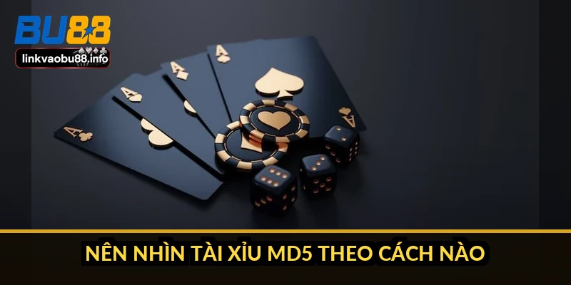 Tài xỉu MD5 là gì và cách tự kiểm chứng kết quả từng ván 5 Nên nhìn tài xỉu MD5 theo cách nào